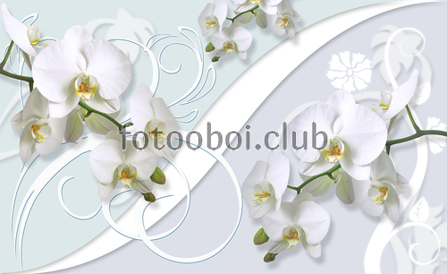 узоры, цветы, цветок, орхидеи, 3д, 3d 